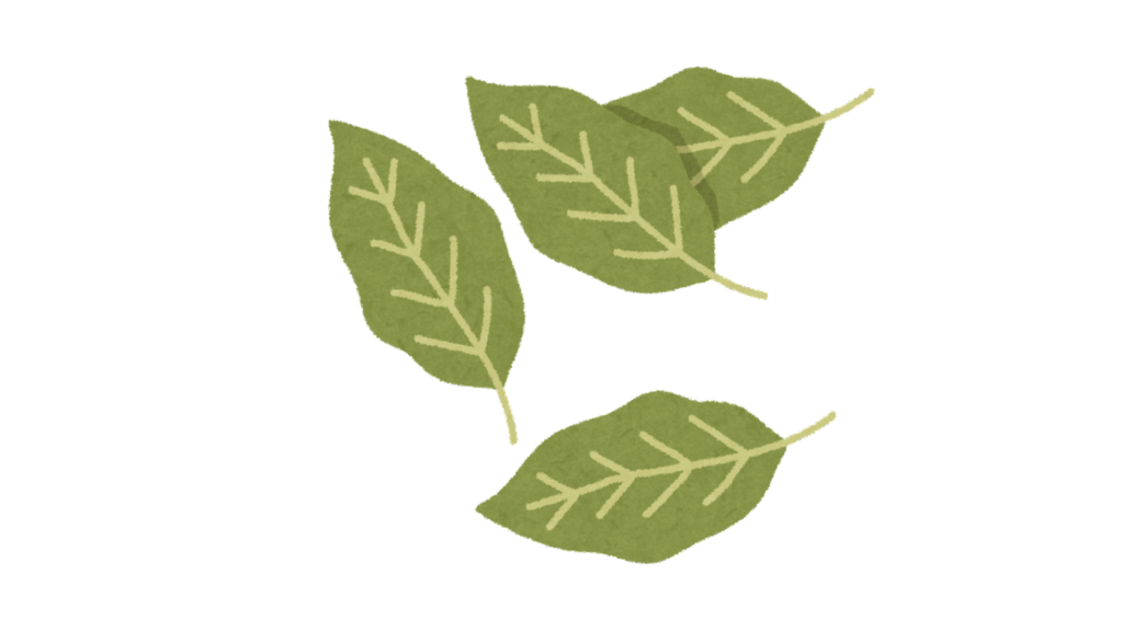 hojas